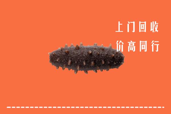 高价求购：北海市回收海参