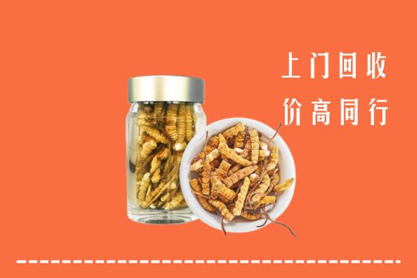 北海市回收冬虫夏草