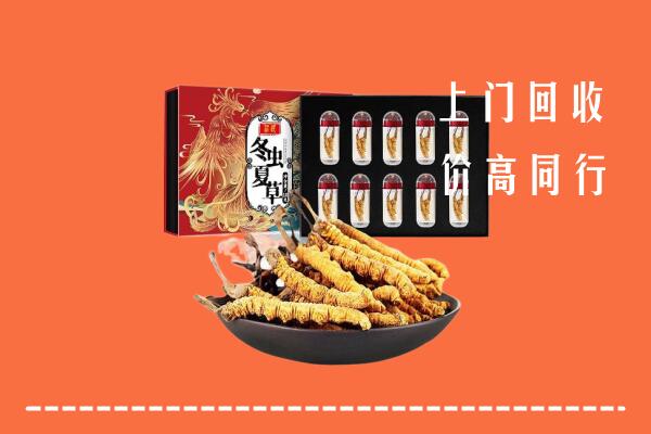 北海市回收虫草